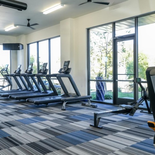 spacious and bright gym